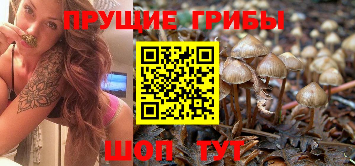 Псилоцибиновые грибы прущие грибы Екатеринбург